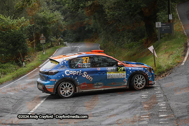 Rali-Ceredigion-2024-S14-121