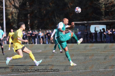 AFC-Whyteleafe-v-Andover-New-Street-290325-10