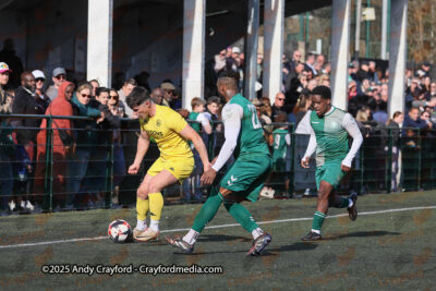 AFC-Whyteleafe-v-Andover-New-Street-290325-102