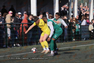 AFC-Whyteleafe-v-Andover-New-Street-290325-103