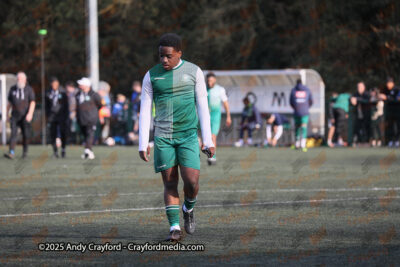 AFC-Whyteleafe-v-Andover-New-Street-290325-112