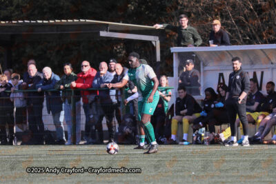AFC-Whyteleafe-v-Andover-New-Street-290325-12