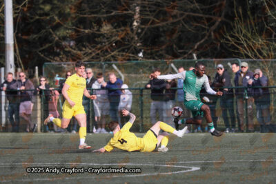 AFC-Whyteleafe-v-Andover-New-Street-290325-128