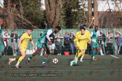 AFC-Whyteleafe-v-Andover-New-Street-290325-13