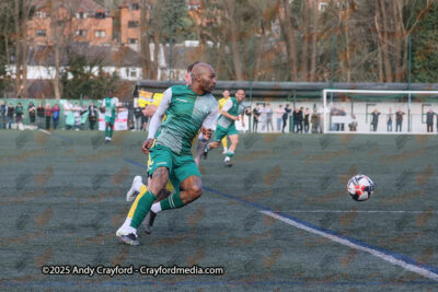 AFC-Whyteleafe-v-Andover-New-Street-290325-132