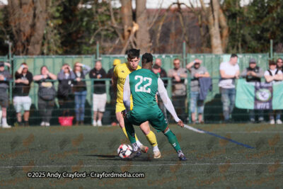 AFC-Whyteleafe-v-Andover-New-Street-290325-14