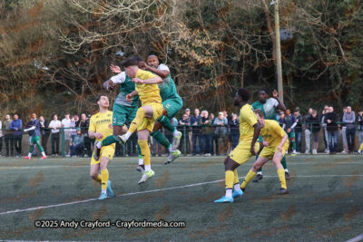 AFC-Whyteleafe-v-Andover-New-Street-290325-148