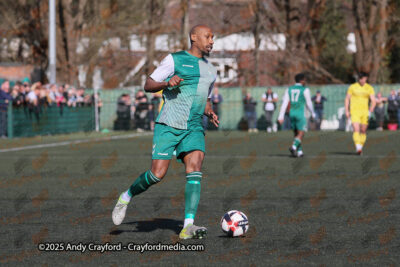 AFC-Whyteleafe-v-Andover-New-Street-290325-15