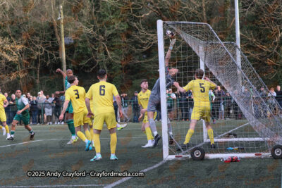 AFC-Whyteleafe-v-Andover-New-Street-290325-154