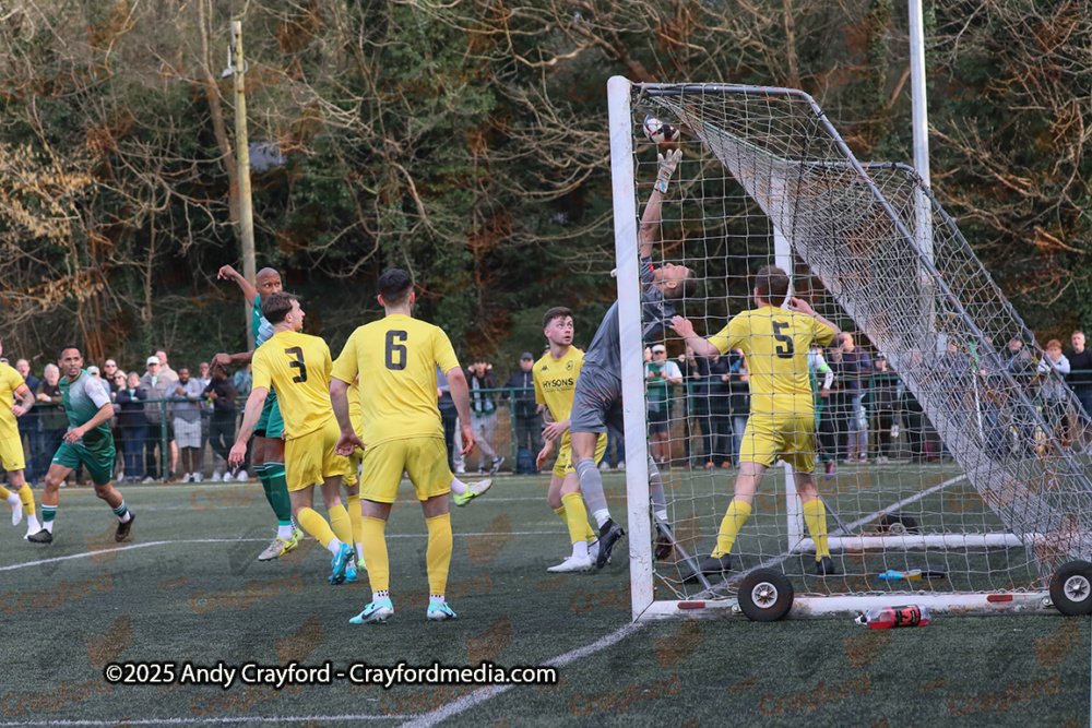 AFC-Whyteleafe-v-Andover-New-Street-290325-154