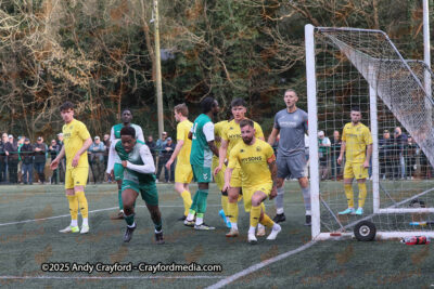 AFC-Whyteleafe-v-Andover-New-Street-290325-156