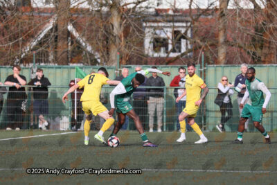 AFC-Whyteleafe-v-Andover-New-Street-290325-159