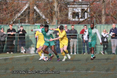 AFC-Whyteleafe-v-Andover-New-Street-290325-161