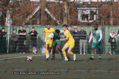 AFC-Whyteleafe-v-Andover-New-Street-290325-162
