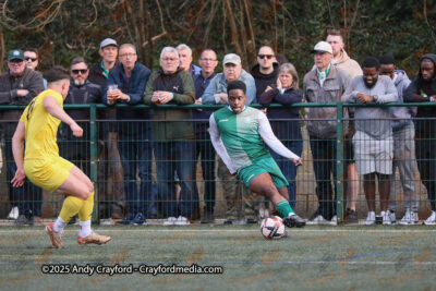 AFC-Whyteleafe-v-Andover-New-Street-290325-165