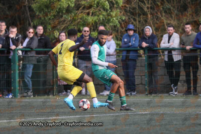 AFC-Whyteleafe-v-Andover-New-Street-290325-166