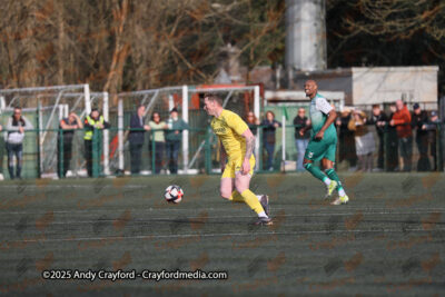 AFC-Whyteleafe-v-Andover-New-Street-290325-167