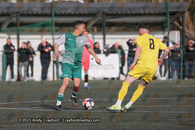 AFC-Whyteleafe-v-Andover-New-Street-290325-168