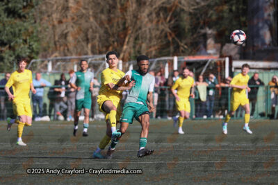 AFC-Whyteleafe-v-Andover-New-Street-290325-17