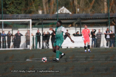 AFC-Whyteleafe-v-Andover-New-Street-290325-170