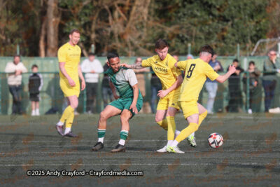 AFC-Whyteleafe-v-Andover-New-Street-290325-173