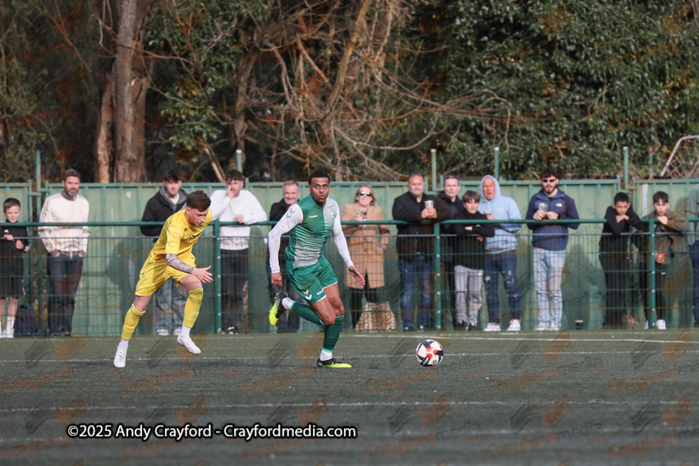 AFC-Whyteleafe-v-Andover-New-Street-290325-174