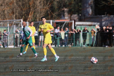 AFC-Whyteleafe-v-Andover-New-Street-290325-18