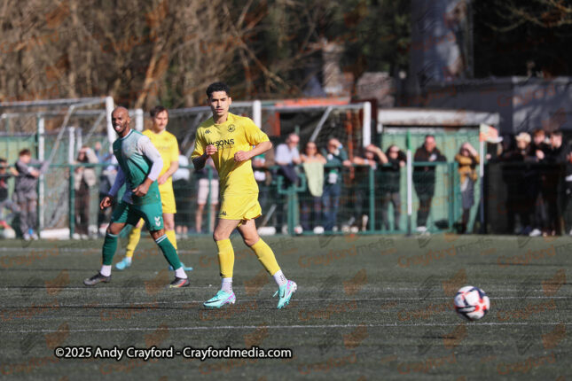AFC-Whyteleafe-v-Andover-New-Street-290325-18
