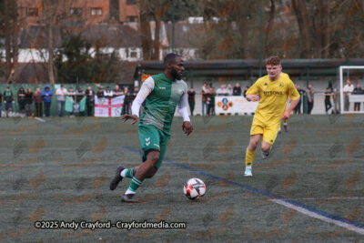 AFC-Whyteleafe-v-Andover-New-Street-290325-184