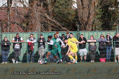 AFC-Whyteleafe-v-Andover-New-Street-290325-19