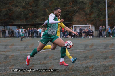 AFC-Whyteleafe-v-Andover-New-Street-290325-192
