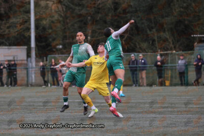 AFC-Whyteleafe-v-Andover-New-Street-290325-195