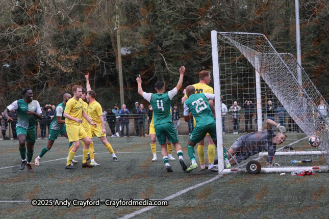 AFC-Whyteleafe-v-Andover-New-Street-290325-198