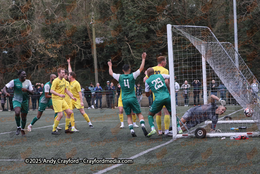 AFC-Whyteleafe-v-Andover-New-Street-290325-198
