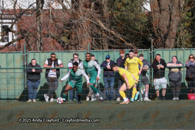 AFC-Whyteleafe-v-Andover-New-Street-290325-20