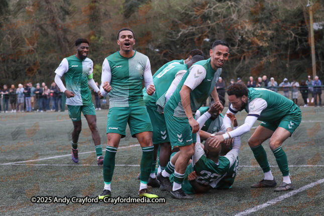 AFC-Whyteleafe-v-Andover-New-Street-290325-204