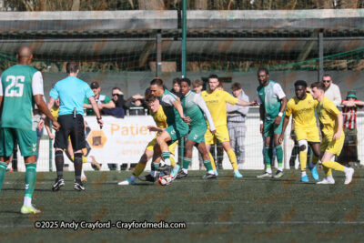 AFC-Whyteleafe-v-Andover-New-Street-290325-22