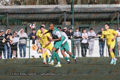AFC-Whyteleafe-v-Andover-New-Street-290325-23