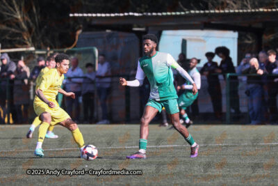 AFC-Whyteleafe-v-Andover-New-Street-290325-25