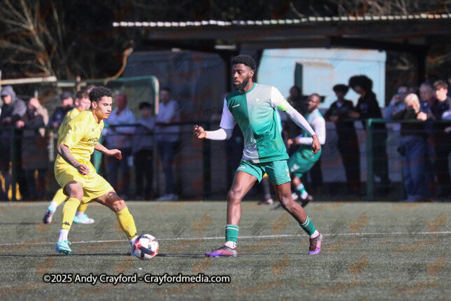 AFC-Whyteleafe-v-Andover-New-Street-290325-25