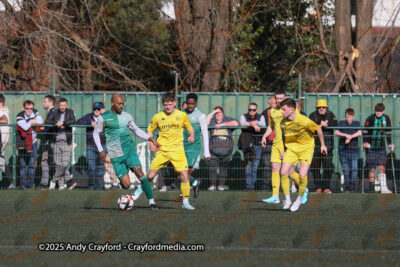 AFC-Whyteleafe-v-Andover-New-Street-290325-28