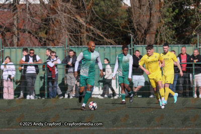 AFC-Whyteleafe-v-Andover-New-Street-290325-29