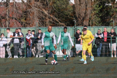 AFC-Whyteleafe-v-Andover-New-Street-290325-30