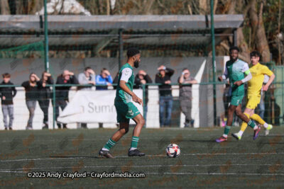 AFC-Whyteleafe-v-Andover-New-Street-290325-31