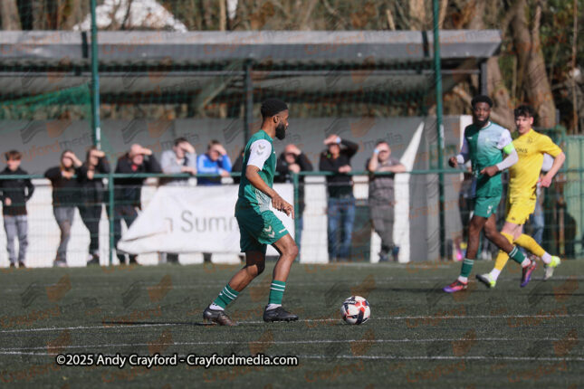 AFC-Whyteleafe-v-Andover-New-Street-290325-31