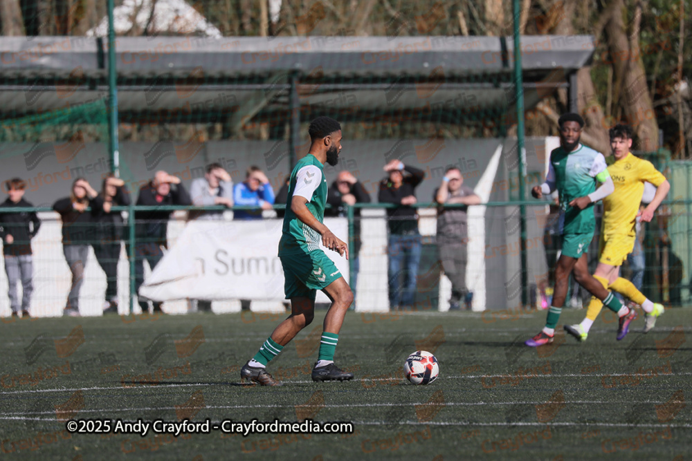 AFC-Whyteleafe-v-Andover-New-Street-290325-31