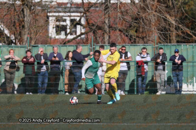 AFC-Whyteleafe-v-Andover-New-Street-290325-32