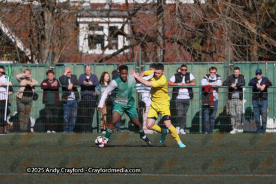 AFC-Whyteleafe-v-Andover-New-Street-290325-33