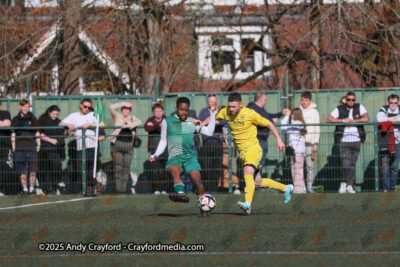 AFC-Whyteleafe-v-Andover-New-Street-290325-34