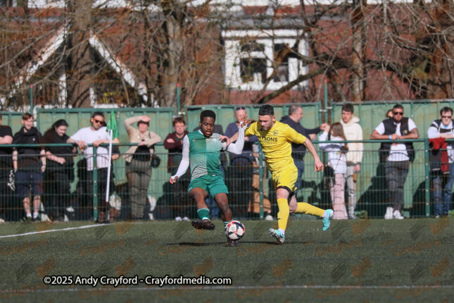 AFC-Whyteleafe-v-Andover-New-Street-290325-34